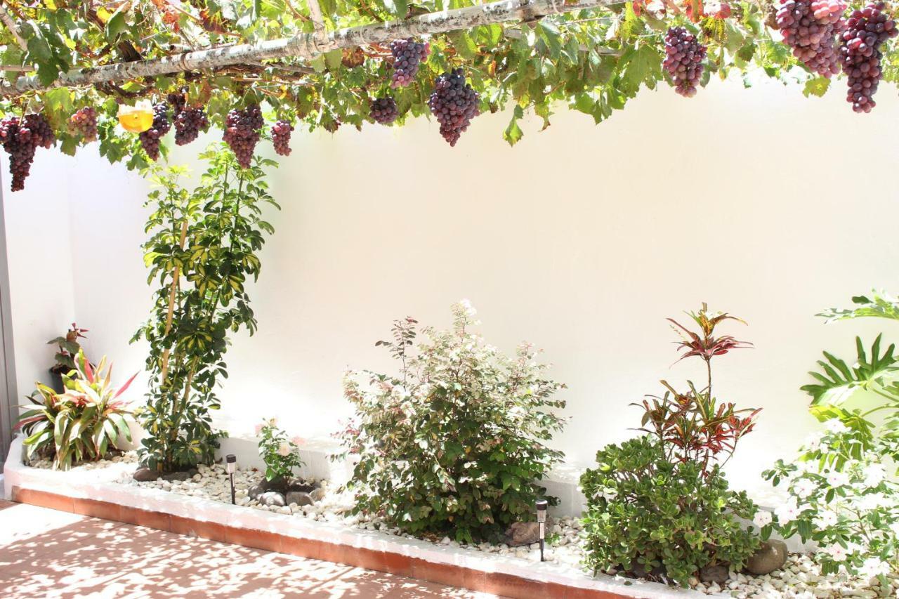 Casa Carmela Villa Agaete  Buitenkant foto